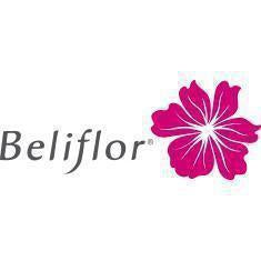 Beliflor