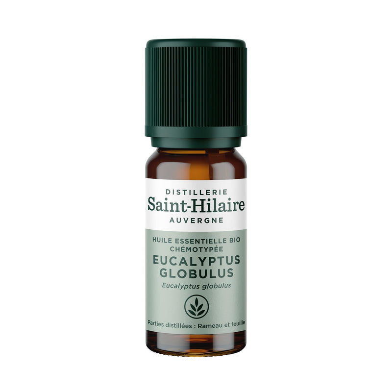 Huile essentielle d’eucalyptus globulus bio